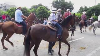 Cabalgata Horse Parade at the Feria de las Flores Flower Festival in Medellin Colombia [upl. by Simonetta841]