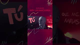 El viernes 4 de octubre se estrenará el lyric video de quotSoy un macarraquot y tiene esta pinta 🐇🐇🐇🐇 [upl. by Arama]