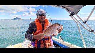 Deep Fishing Tauranga New Zealand [upl. by Anauq]