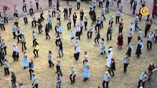 Flashmob Efteling Medewerkers  Winter Efteling [upl. by Cohbert]