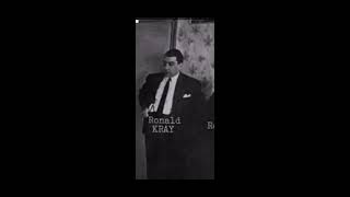 Legend  The Krays Meet with the American Mafia  Film Clip [upl. by Dorsey]