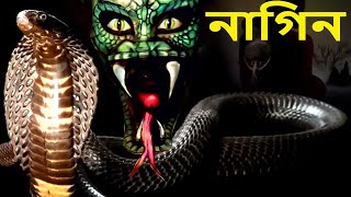 Nagabala  নাগিন  Most Popular Bangla Tv Serial 2024  Full Episode  Naagin New Bengal Natok 2024 [upl. by Ojyram78]