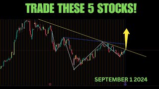 TRADE THESE 5 STOCKS LONG TERM INVESTMENTS DONT MISS OUT [upl. by Suolekcin]