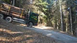 Holztransport im steilen Gelände [upl. by Airebma]