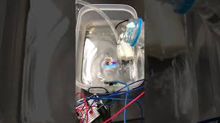 Auto Drainage amp Alert System without Arduino Demo No ARDUINO [upl. by Atilrac]