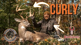 6 year old PA giant buck goes down  Curlys Curtain Call  The Bearded Buck [upl. by Neleh]