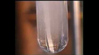 Magnesium In Sulfuric Acid [upl. by Cyndi]