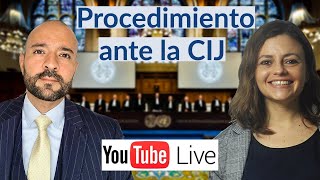 Procedimiento ante la Corte Internacional de Justicia [upl. by Aldo]