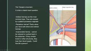 Gastroenterology Anatomy NPLEX Review [upl. by Latisha]