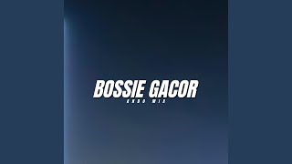 Bossie Gacor [upl. by Nylisoj467]