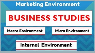 BUSINESS STUDIES  MARKET ENVIRONMENT MACRO MICRO AND INTERNAL ENVIRONMENT THUNDEREDUC [upl. by Liu]