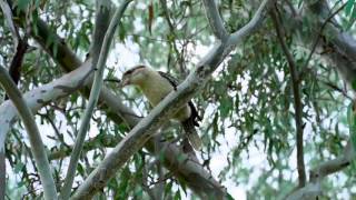 WUDU Series 6 Episode 23 Eildon Pondage Holiday Park [upl. by Mychal]