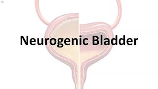 Neurogenic Bladder  Basic Understanding Types Causes [upl. by Suirtemed]