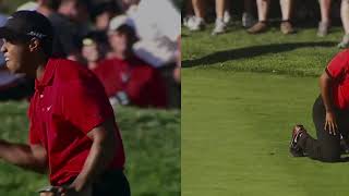 Tiger Woods Greatest Ever Nike Commercial [upl. by Gaivn]