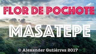 Flor de Pochote Masatepe  Nicaragua Drone [upl. by Ekenna]