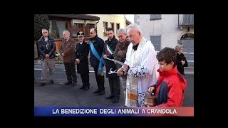 La benedizione degli animali a Crandola [upl. by Sibeal]