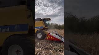 Кукурудза New Holland TC 5080 [upl. by Aserret]