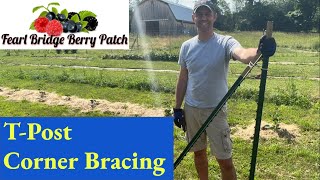 Installing TPost Corner Bracing and Wire Trellis Supports [upl. by Nealon]