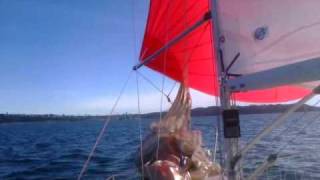 Mainsail amp Spinnaker Sail Kits Built by a Sailrite Customer [upl. by Akimit358]