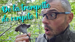 CHAMPIGNONS DES TROMPETTES DE COMPÈT  🍄‍🟫🌳🍄🌲 [upl. by Kcid738]