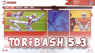 Toribash Version 53  LATEST UPDATE NEWS [upl. by Stent]