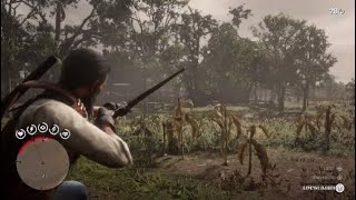 RDR2  Weapons Expert 9 Easy Method [upl. by Karylin]