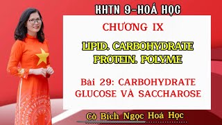 KHTN9 HÓA HỌC BÀI 29 CARBOHYDRATE  GLUCOSE VÀ SACCHAROSE hoacobichngoc hoa9 khtn9 [upl. by Chrysa]