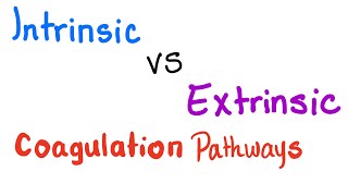 Intrinsic vs Extrinsic Coagulation pathways  Hemostasis  Bleeding and Coagulation [upl. by Athene]