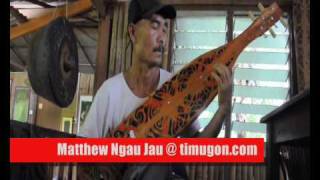 Matthew Ngau Jau  Master Sape Player [upl. by Freud]