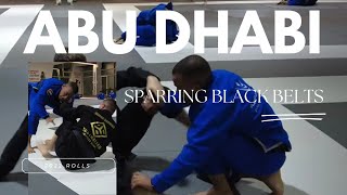 Pressure Gi Rolls  Burak Sarman Spars With Black Belts in Abu Dhabi in 2022 [upl. by Cohberg]