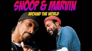 Snoop Dogg and Marvin Gaye Around the World Dj Egin Mix [upl. by Inirt614]