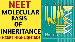 Molecular Basis of InheritanceClass 12NCERTChapter 06GeneticsQuick Revision SeriesAIIMS NEET [upl. by Epstein]