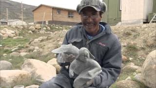 Welcome To Nunavut [upl. by Alled283]