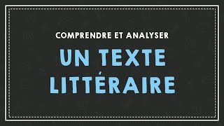 COMPRENDRE ET ANALYSER UN TEXTE [upl. by Einavoj]