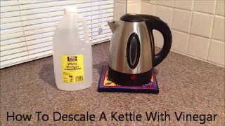 How To Descale A Kettle With Vinegar [upl. by Kleon518]