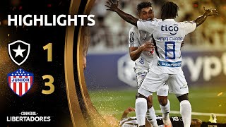 BOTAFOGO vs JUNIOR FC  HIGHLIGHTS  CONMEBOL LIBERTADORES 2024 [upl. by Cowan367]