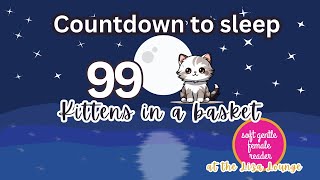 Fall asleep gently with 99 kittens purring in a basket  Sleep Countdown  Deep Sleep  Easy Sleep [upl. by Astto]