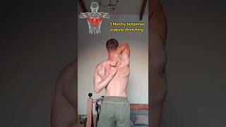 3 STRECHES TO REDUCE SCAPULA PAIN AND IMPROVE MOBILITY physiotherapy scapula scapularpain pain [upl. by Ahsimat661]