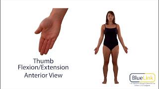 Thumb Flexion Extension [upl. by Ayimat]