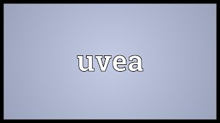 Uvea Meaning [upl. by Hepsibah]