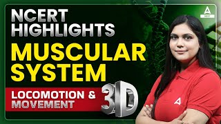 Locomotion and Movement Class 11 One Shot  Muscular System in 3D  NEET 2024  Garima Goel [upl. by Hughie]