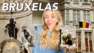 COZY VLOG DIAS EM BRUXELAS [upl. by Latashia]