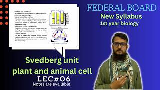 ultra structure of animal and plant cell  Svedberg unit  class 11 [upl. by Aihseit]