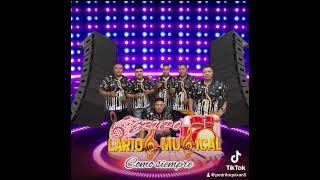 Grupo Larios Musical [upl. by Zusman]