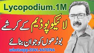 lycopodium homeopathic medicine lycopodium 1m ke fayde  lycopodium 1m dosage [upl. by Eahc]