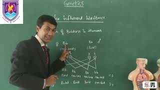 Pattern Baldness  Genetics NCERT XII Class  By Nagavelli Prasad [upl. by Ulberto]