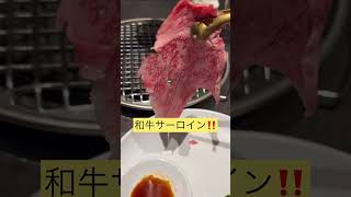 東京 新橋 銀座 海鮮食べ放題 タラバガニ ズワイガニ 焼肉 サーロイン お寿司 銀座八芳 看板以上のクオリティどう考えても価格がおかしい [upl. by Ayaladnot617]