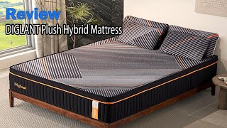 DIGLANT 14 Inch Plush Hybrid Mattress Review  Is It Worth The Investment [upl. by Yelik635]