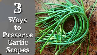 3 Ways To Preserve Garlic Scapes  How To Preserve Garlic Scapes  Storing Garlic Scapes [upl. by Shornick]