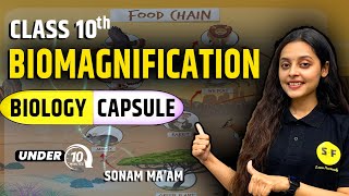 Biomagnification Biology Capsule  CBSE Class 10 Topic Under 10 Minute by Sonam Maam [upl. by Blackington]